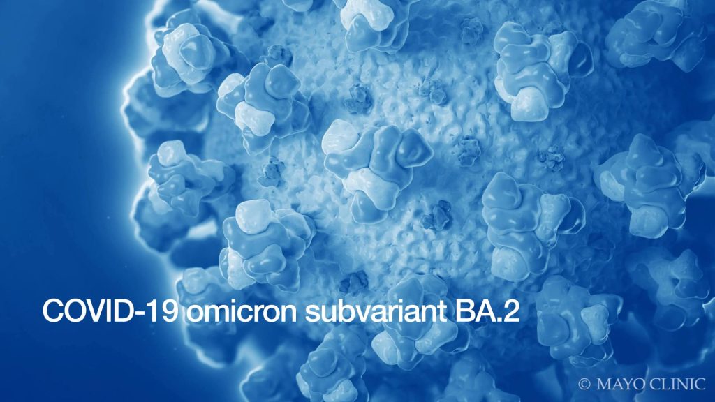 COVID-19 omicron subvariant BA.2