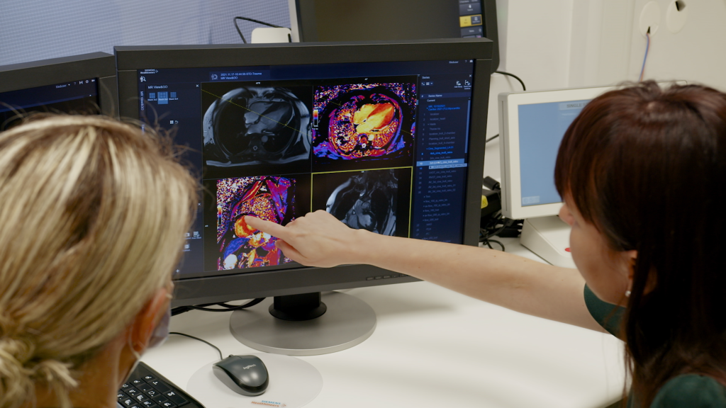 Dr. Wamil examines a heart image