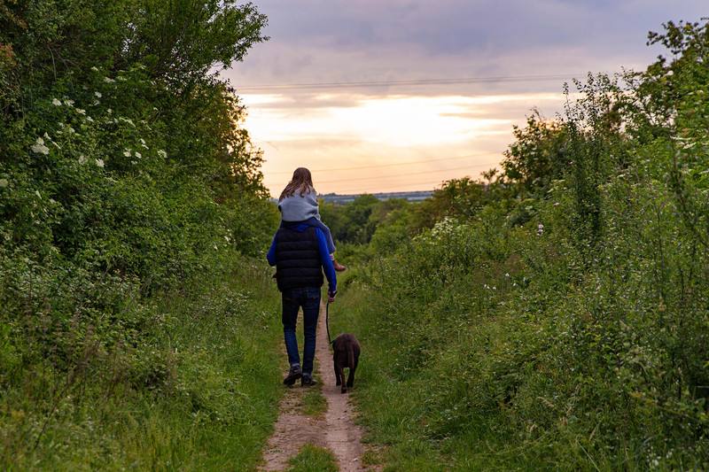 an adult walking along a country path, with a child on their shoulders and a dog walking alongside