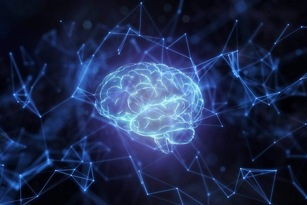 a digital illustration of a human brain