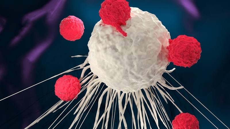 a medical illustation of chimeric antigen receptor-T (CAR-T) cell therapy