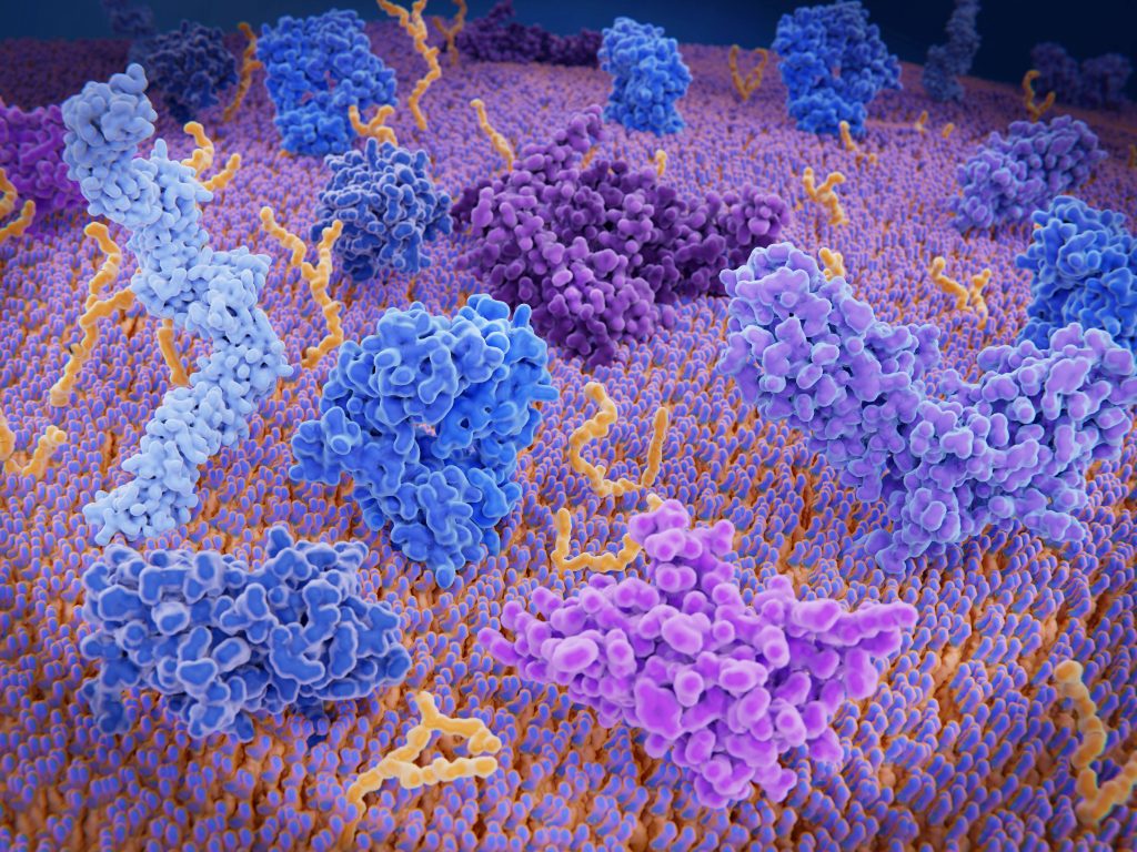 an illustration depicting immunologically active proteins on a T cell