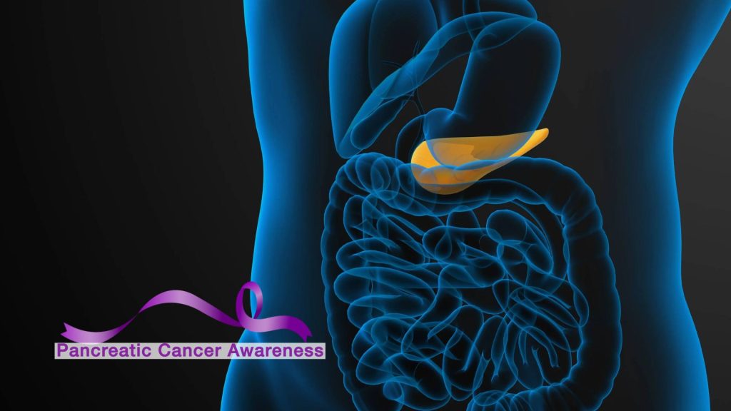 a medical illustration of a human torso, with the pancreas highlighted with a purple Pancreatic Cancer Awareness ribbon graphic