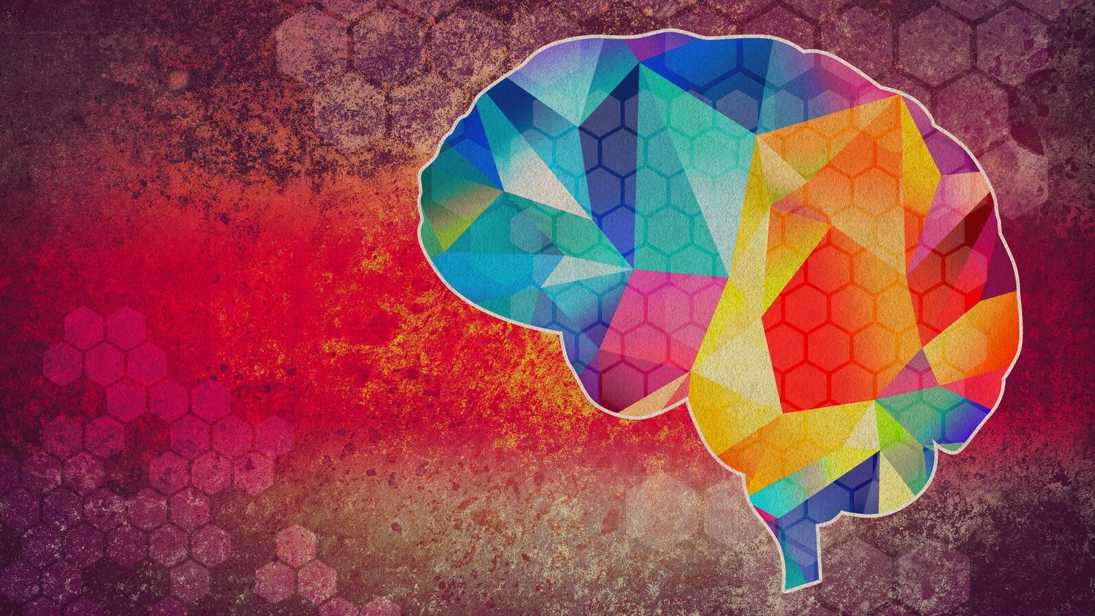 Science Saturday: Understanding the speed of brain communication featured image