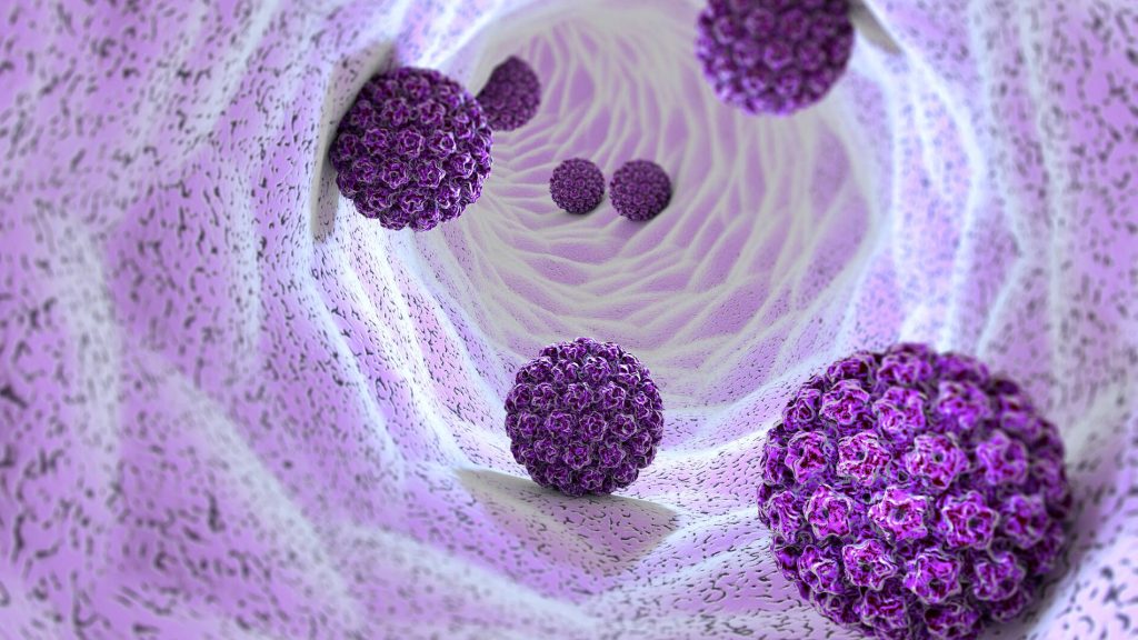 3D illustration of the human papillomavirus (HPV).