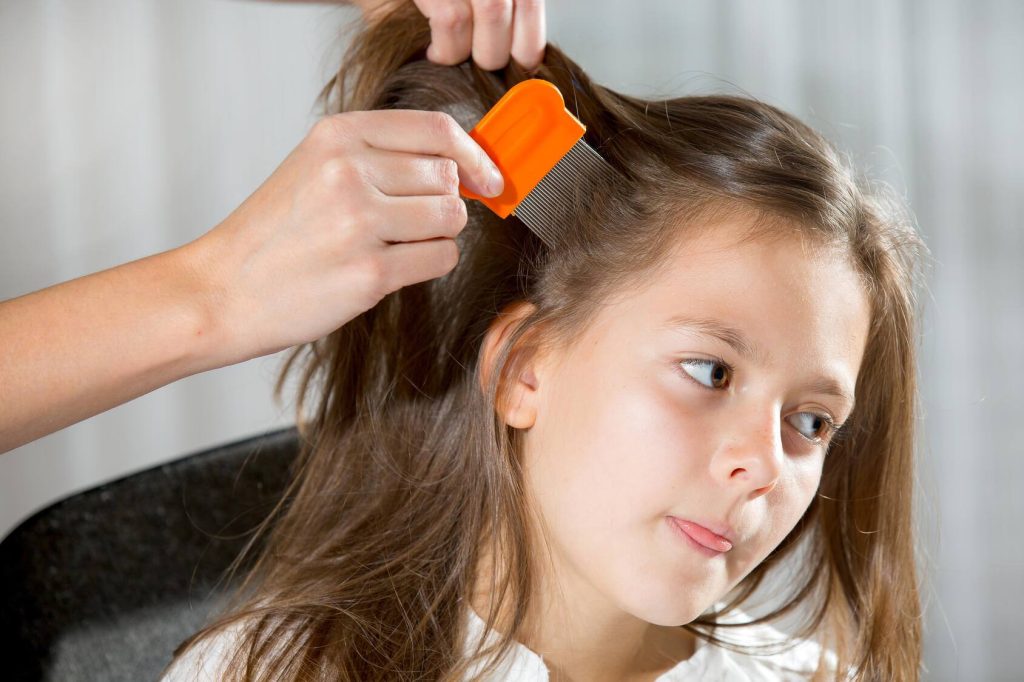 a close-up of a young white girl with long brown hair, having a fine comb run through close to her scalp, looking for evidence of head lice