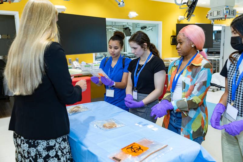 Students examine surgical specimens during a histopathology simulation