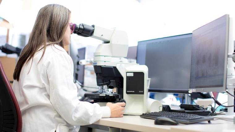 Female researcher looking into a microscope