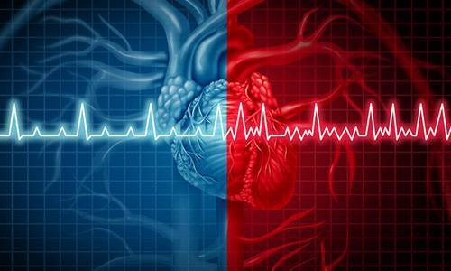 A medical illustration of the heart in red and blue with a heart rhythm wave.