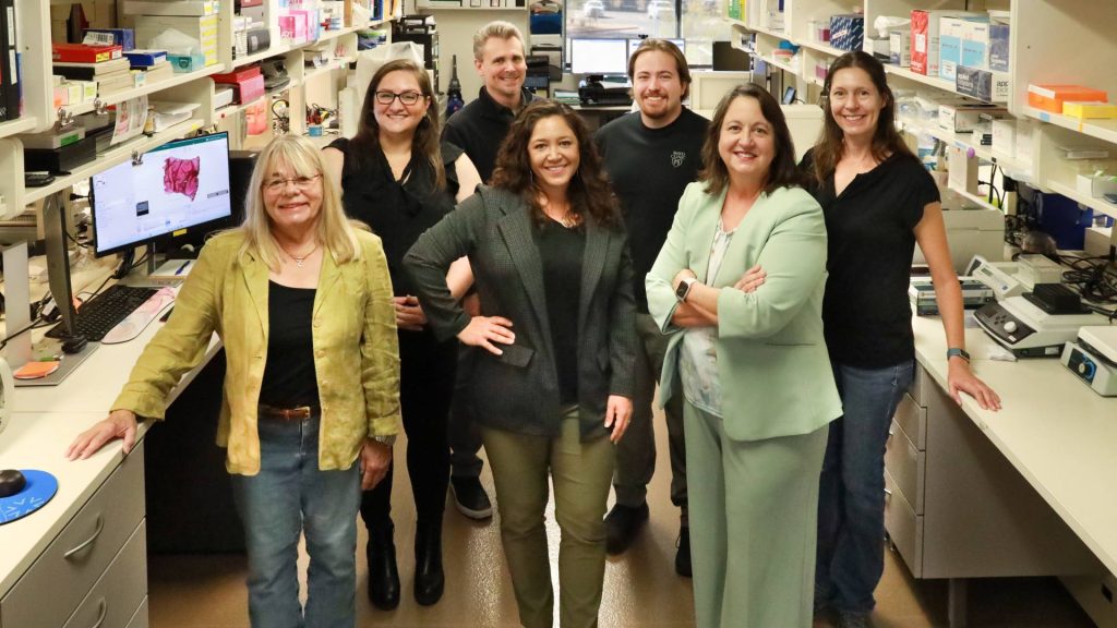 Lisa Rimsza, M.D., and team in the Mayo Clinic Molecular Diagnostic Laboratory. Front row, from left: Charlie Kern, Colleen Ramsower and Dr. Rimsza. Back row, from left: Lindsey Armitage, Lee Wisner, Jon Ocal, Katie Zellner.
