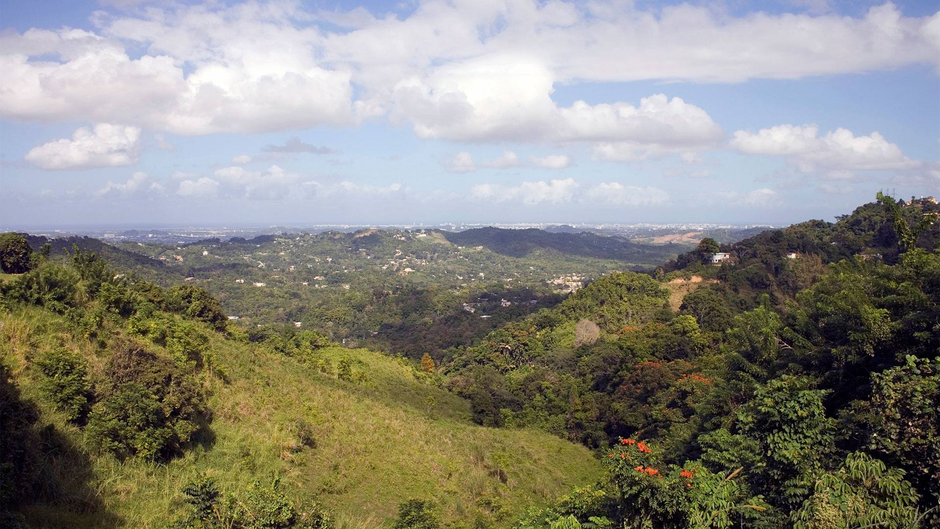Landscape of Puerto Rico from an elevation in Bayamon and facing North toward San Juan