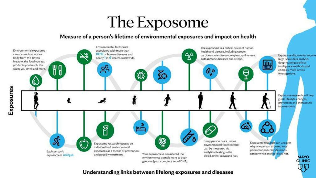 Graphic: The exposome is the measure of a person's lifetime of environmental expsures and impact on health.
