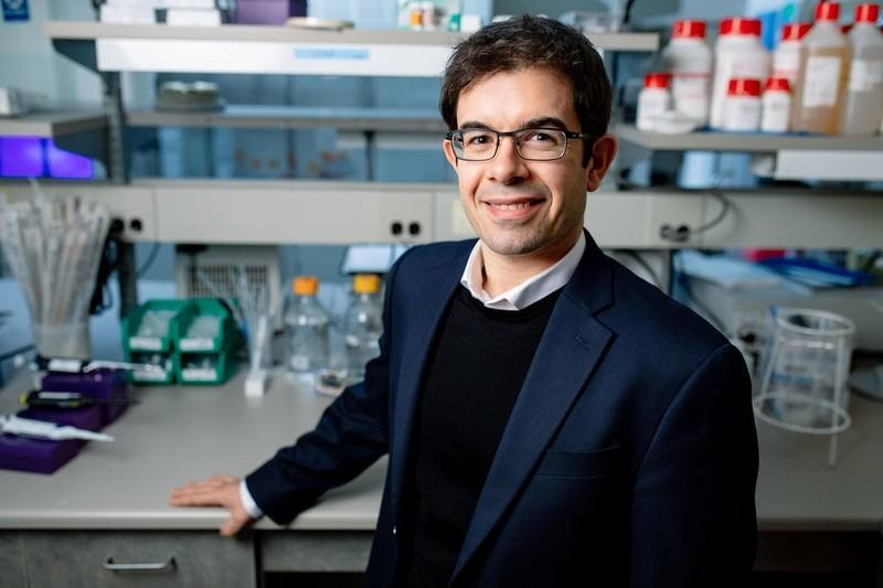 Image of João Passos, Ph.D.