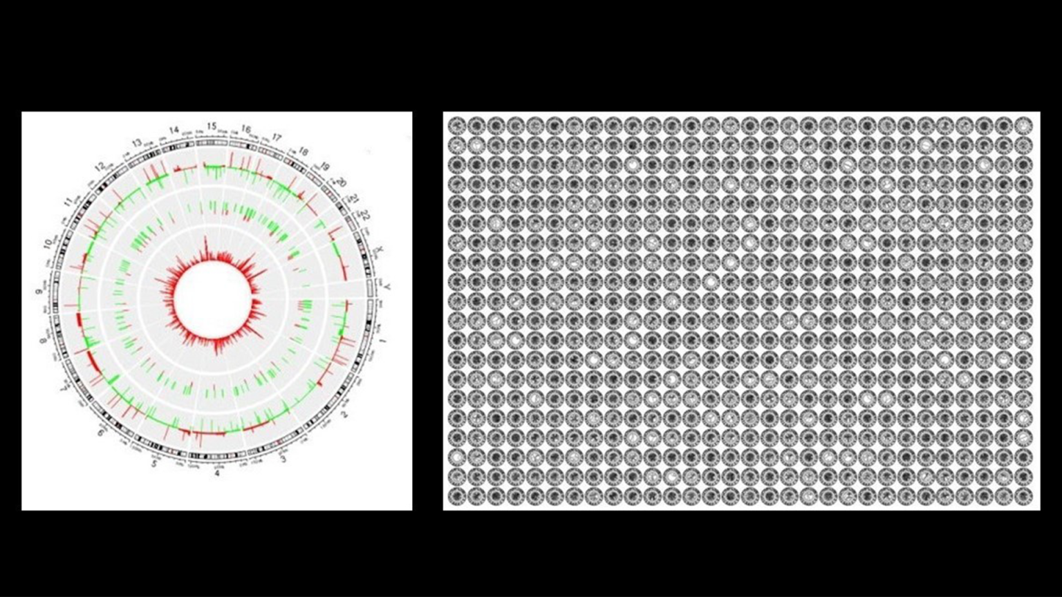 Mayo Clinic S Ai Tool Offers A New Way To Visualize Disease Mayo