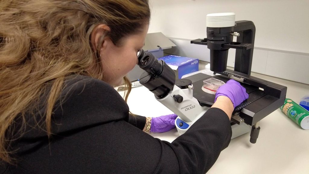 Dr. Victoria Clark, neurosurgeon, in her research lab, looking through a microscope