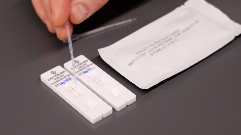 Valley fever test strips