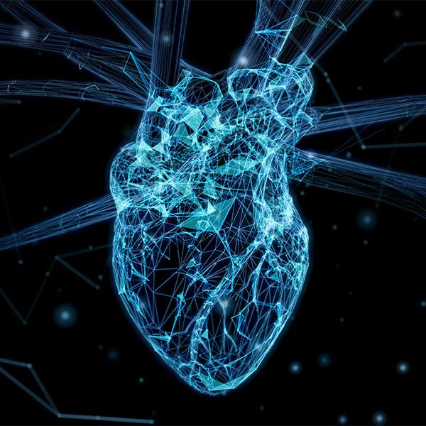“Virtual clinical trials” may predict success of heart failure drugs featured image