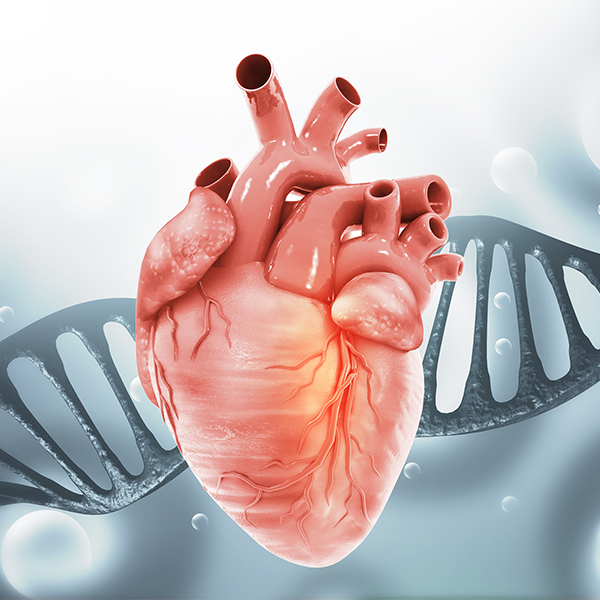 Most people with a genetic condition that causes significantly high cholesterol go undiagnosed, Mayo Clinic study finds   featured image
