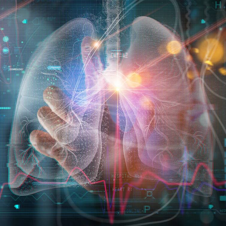 Mayo Clinic researchers identify why some lung tumors respond well to immunotherapy featured image