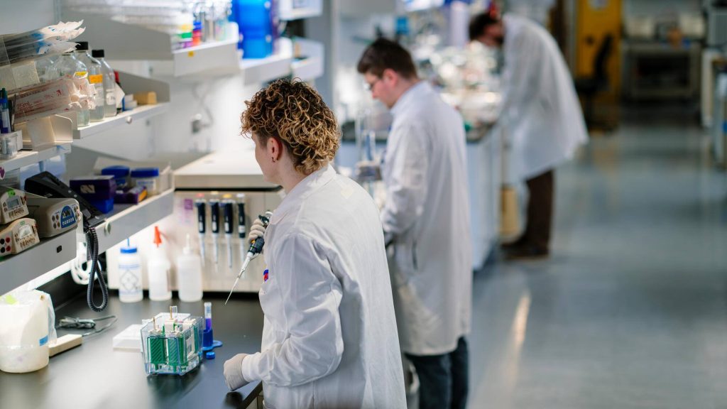 Researchers and laboratory technicians work in a laboratory