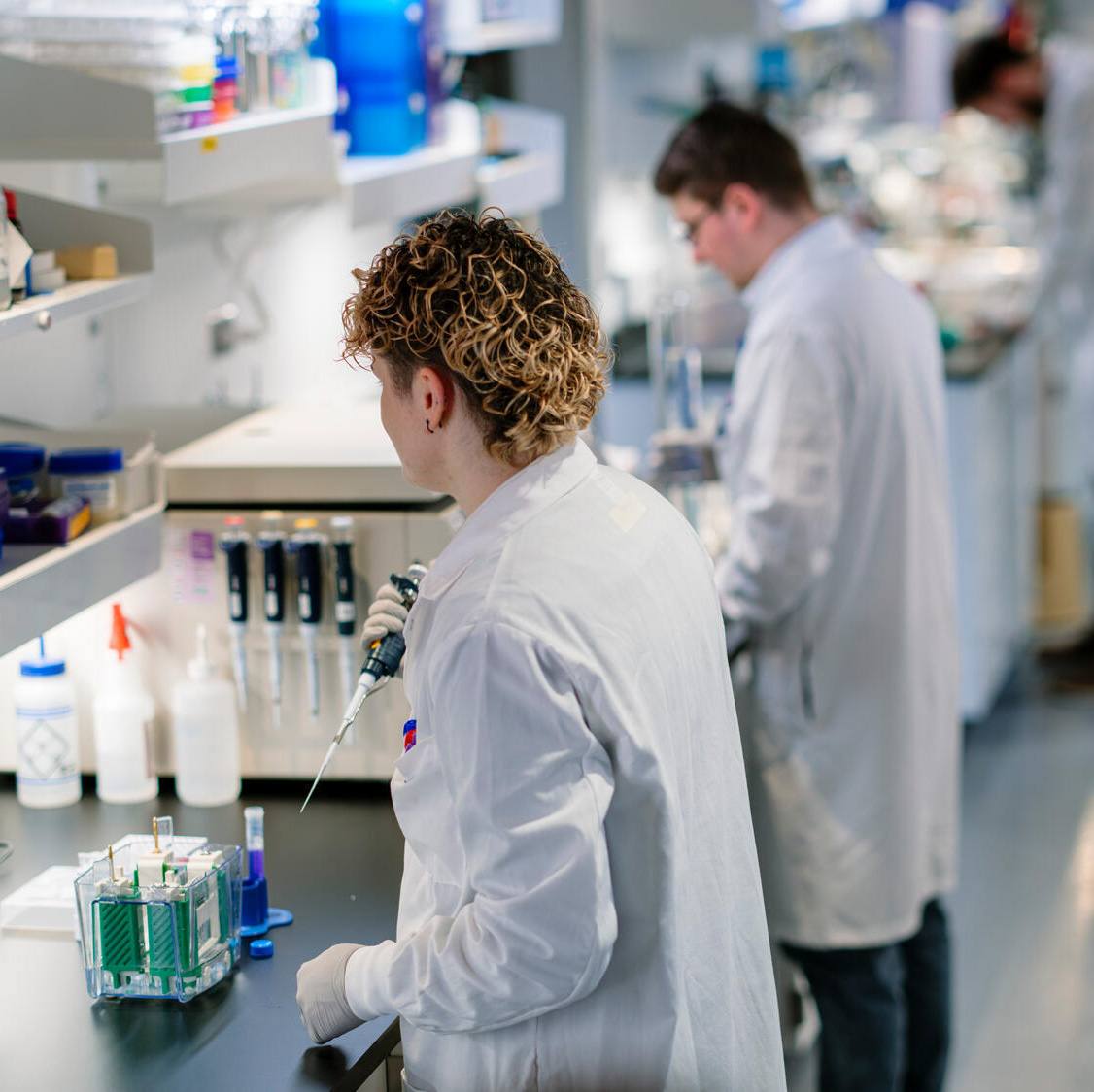 Mayo Clinic uses gene editing to reverse inherited kidney disease in preclinical study featured image