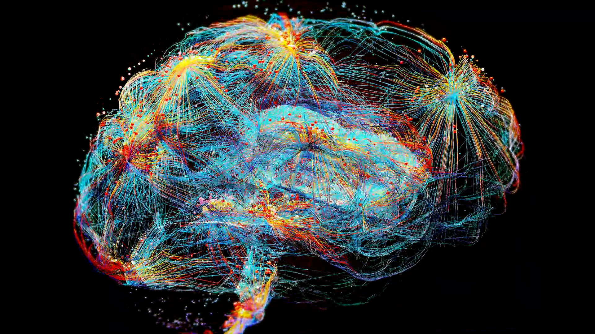 Mayo Clinic researchers discover hidden brain map that may improve epilepsy care featured image