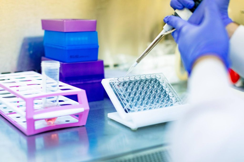 Setting up specimens with a calibrated pipette in a medical lab for testing of samples and performing research analysis.