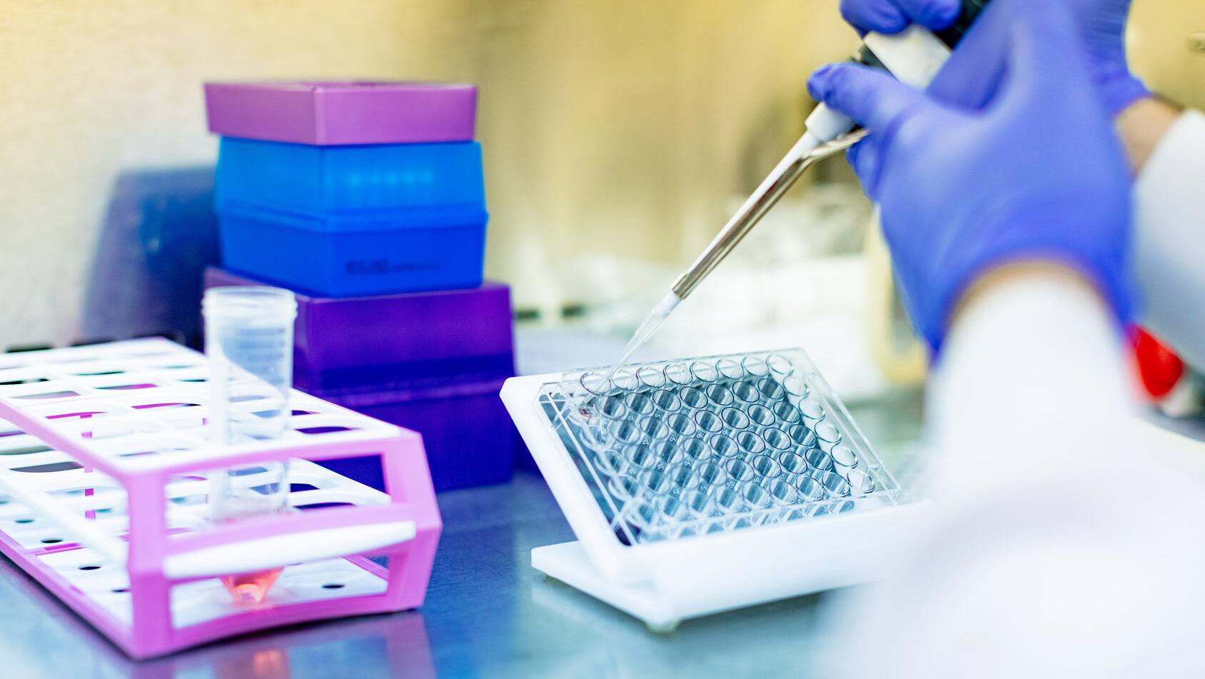 Mayo Clinic researchers find combination therapy reduces effects of ‘zombie cells’ in diabetic kidney disease featured image