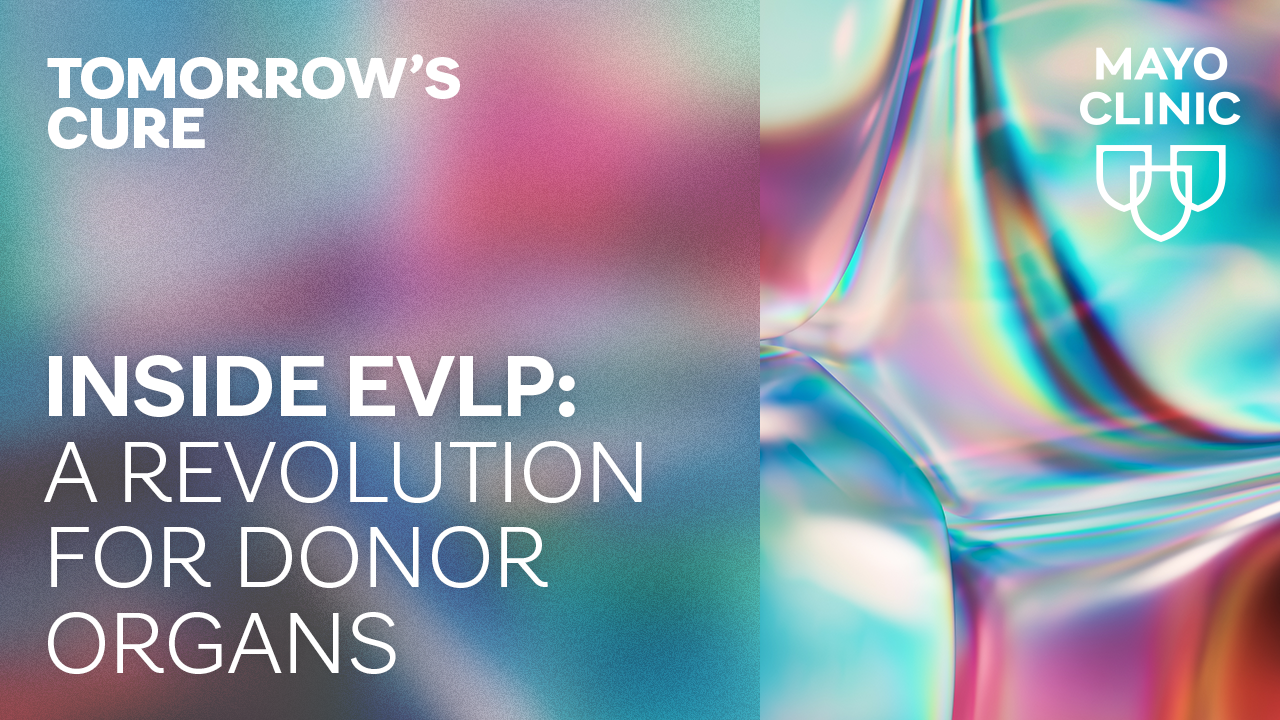Tomorrow’s Cure: Inside EVLP – a revolution for donor organs featured image
