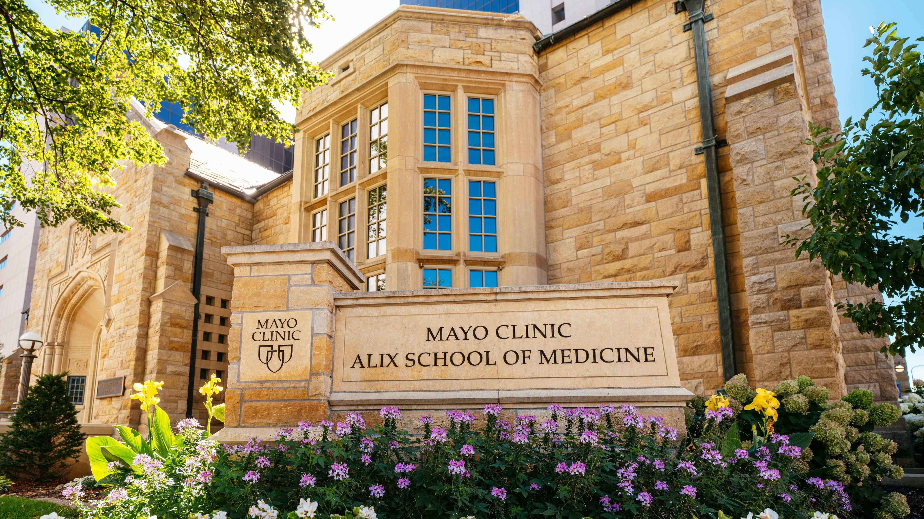 Mayo Clinic Alix School of Medicine recognized among nation’s leading medical schools featured image