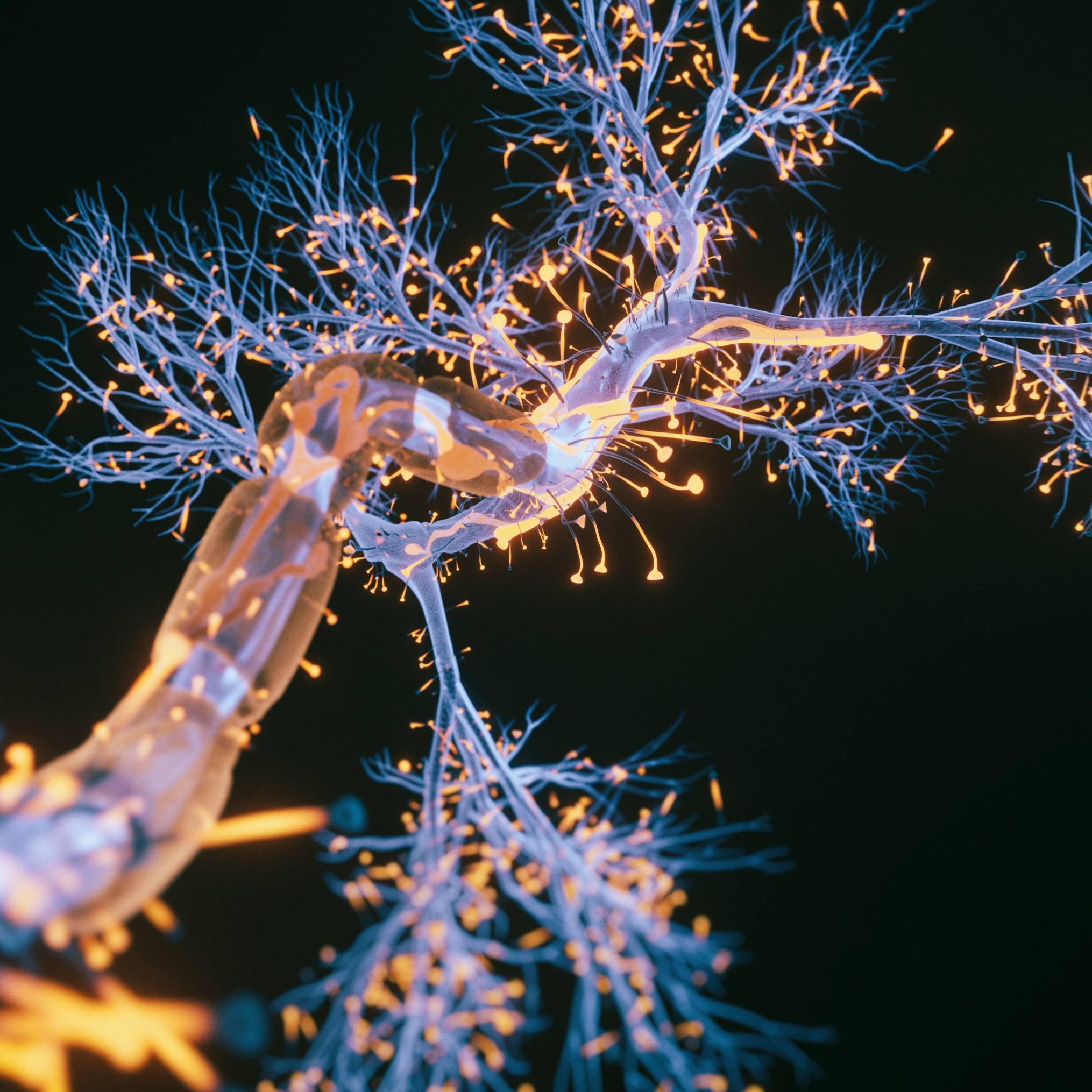 Mayo Clinic builds on breakthrough discoveries to advance care for ALS and FTD featured image