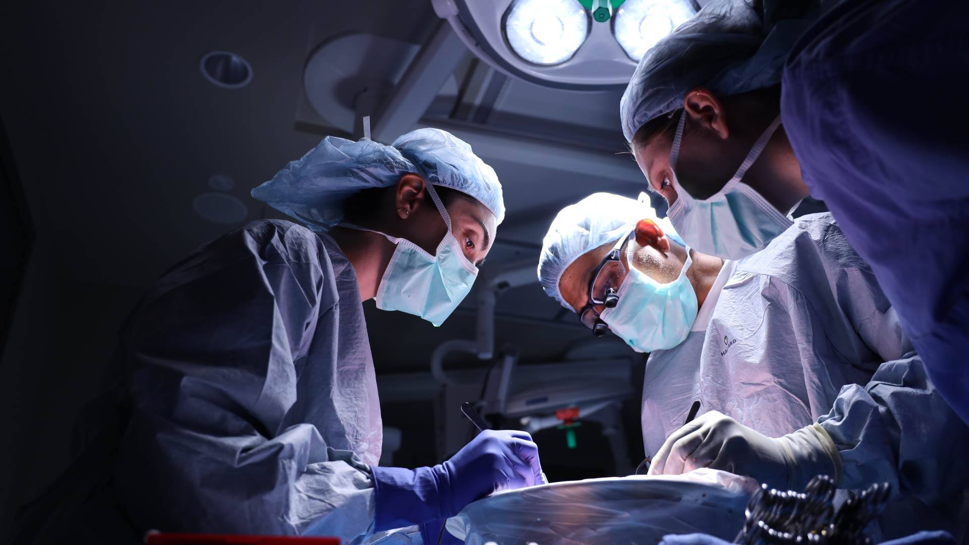 How innovation is shaping the future of transplant care (VIDEO) featured image