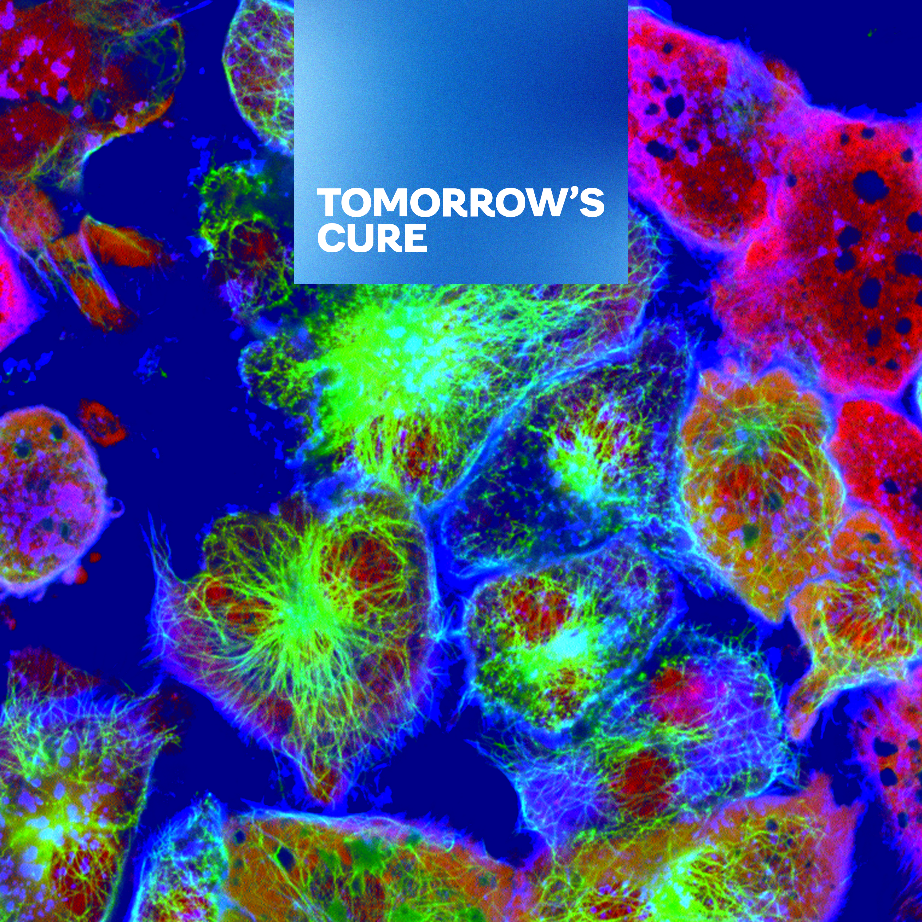 Florescence-guided surgery: Making the invisible visible  featured image