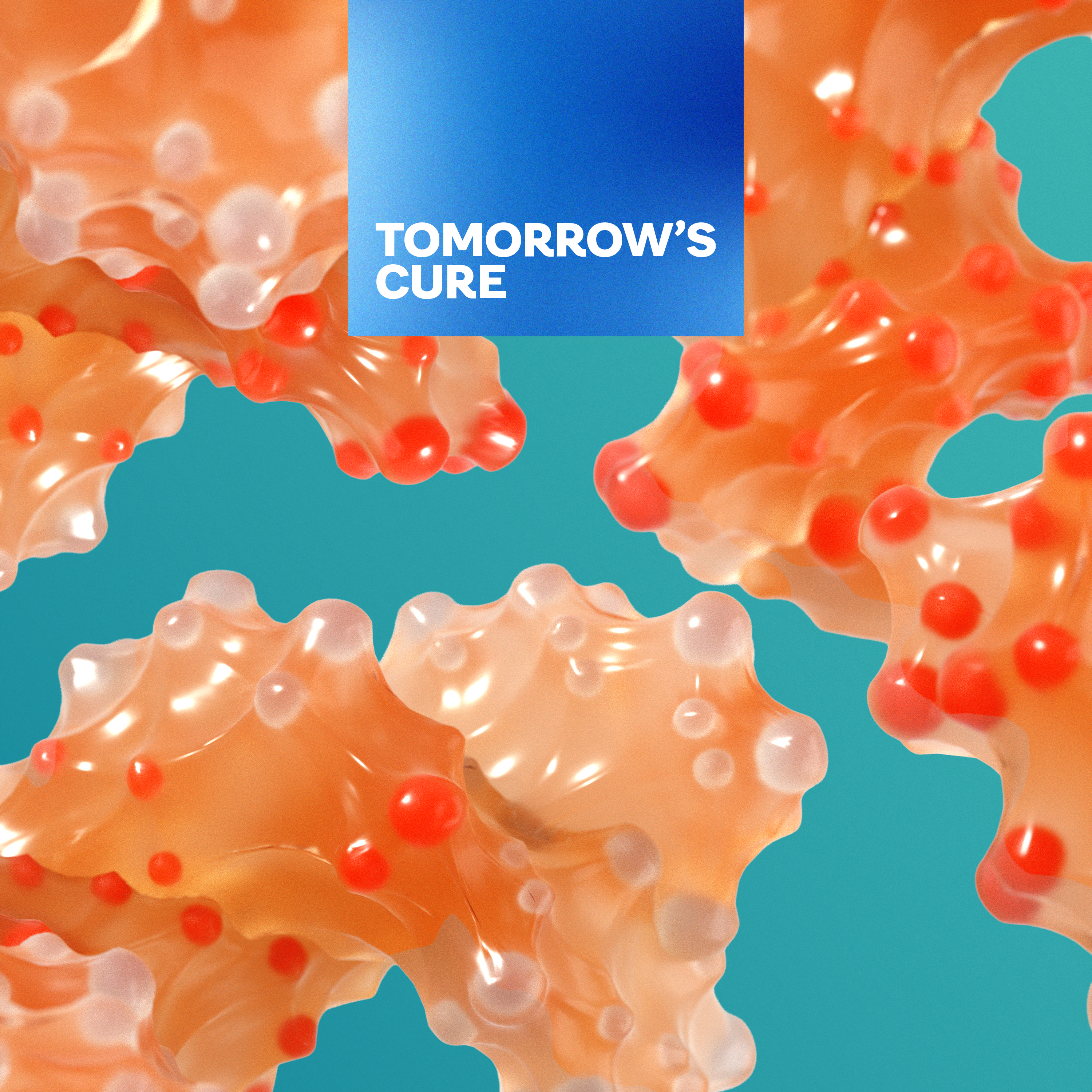 How scientists hope to retrain the immune system after an organ transplant featured image