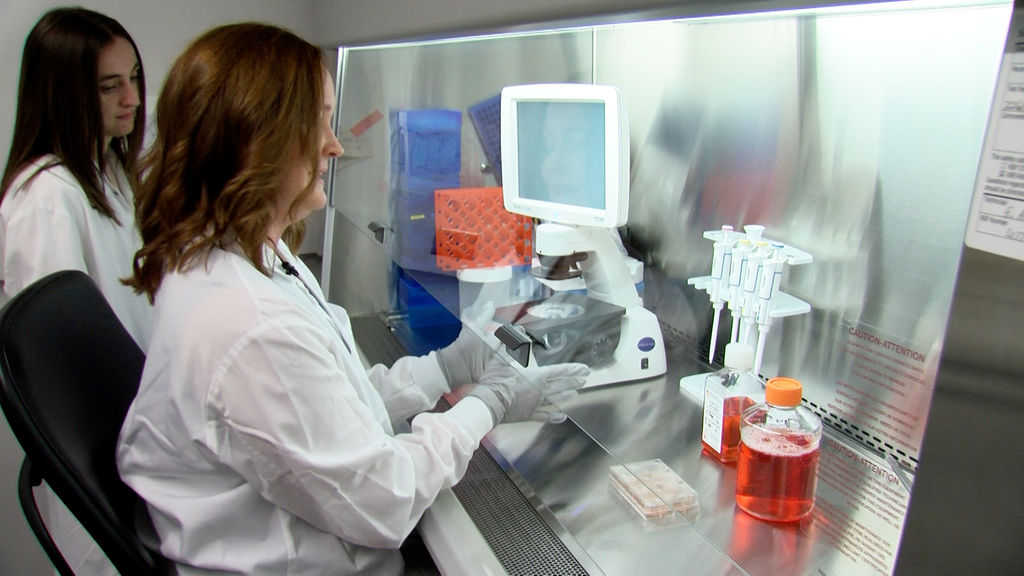 Margot Cousin, Ph.D., works at a cell-culture microscope as Kaitlyn Dirks, a first-year graduate student in the Virology and Gene Therapy track, looks on in Dr. Cousin’s laboratory at Mayo Clinic.