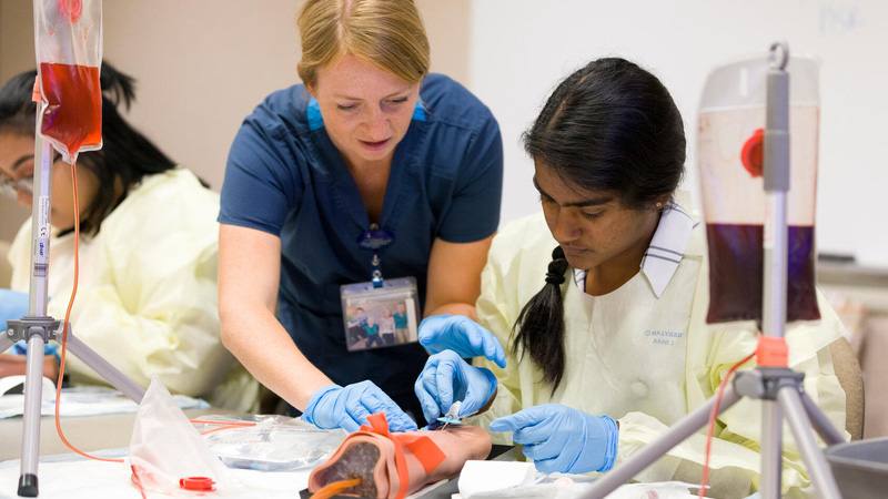 Mayo Clinic pathway programs help students turn career exploration into healthcare careers  featured image