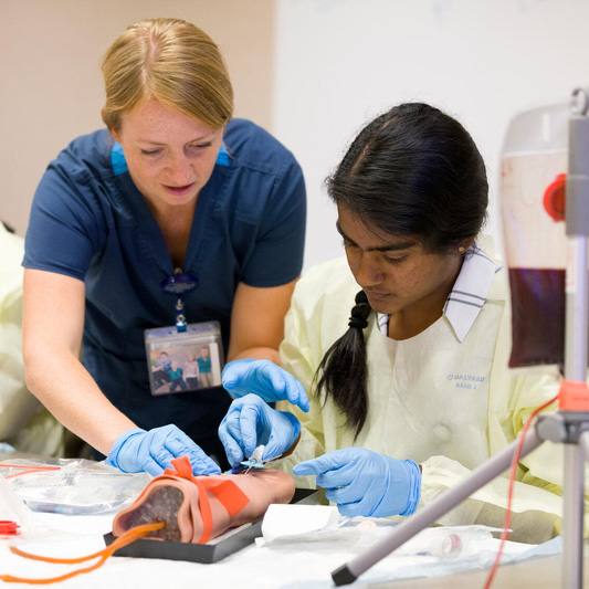 Mayo Clinic pathway programs help students turn career exploration into healthcare careers  featured image