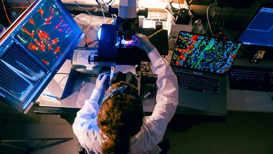BioLabs Rochester MN builds momentum toward September opening, begins recruiting startups featured image