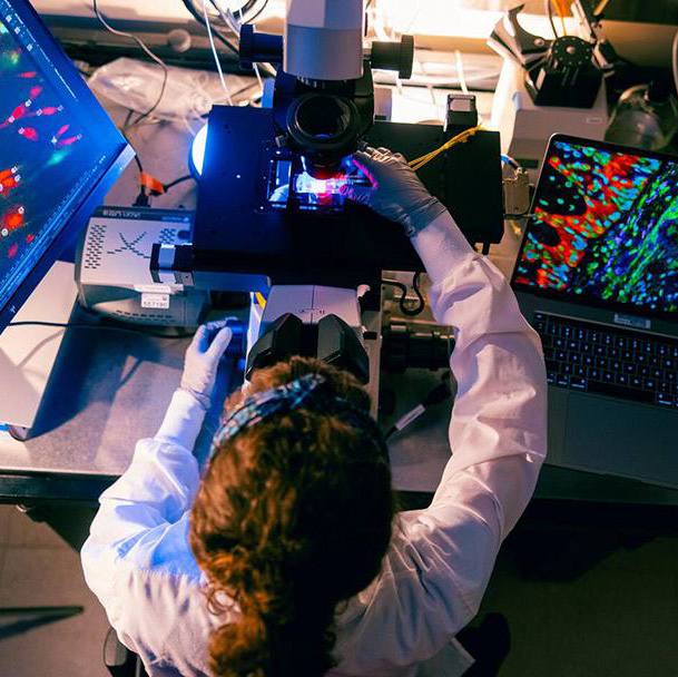 BioLabs Rochester MN builds momentum toward September opening, begins recruiting startups featured image