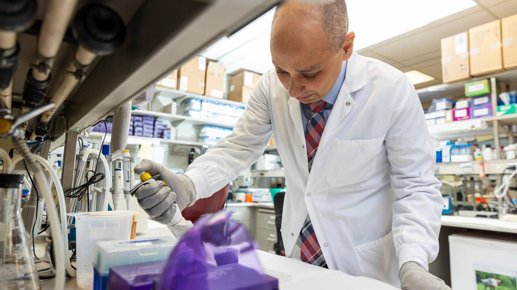 Study shows reprogramming thyroid tumors may improve CAR-T cell therapy featured image