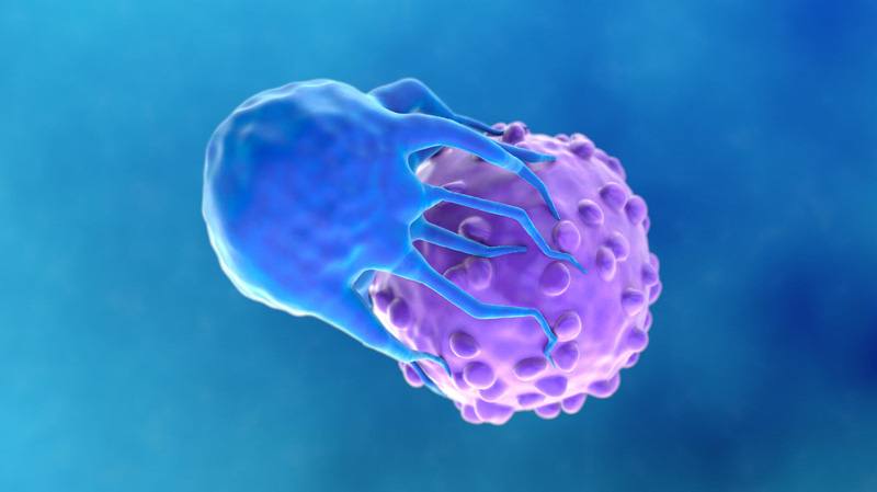 A decade of CAR-T cell therapy at Mayo Clinic: From experimental treatment to new frontiers (VIDEO)