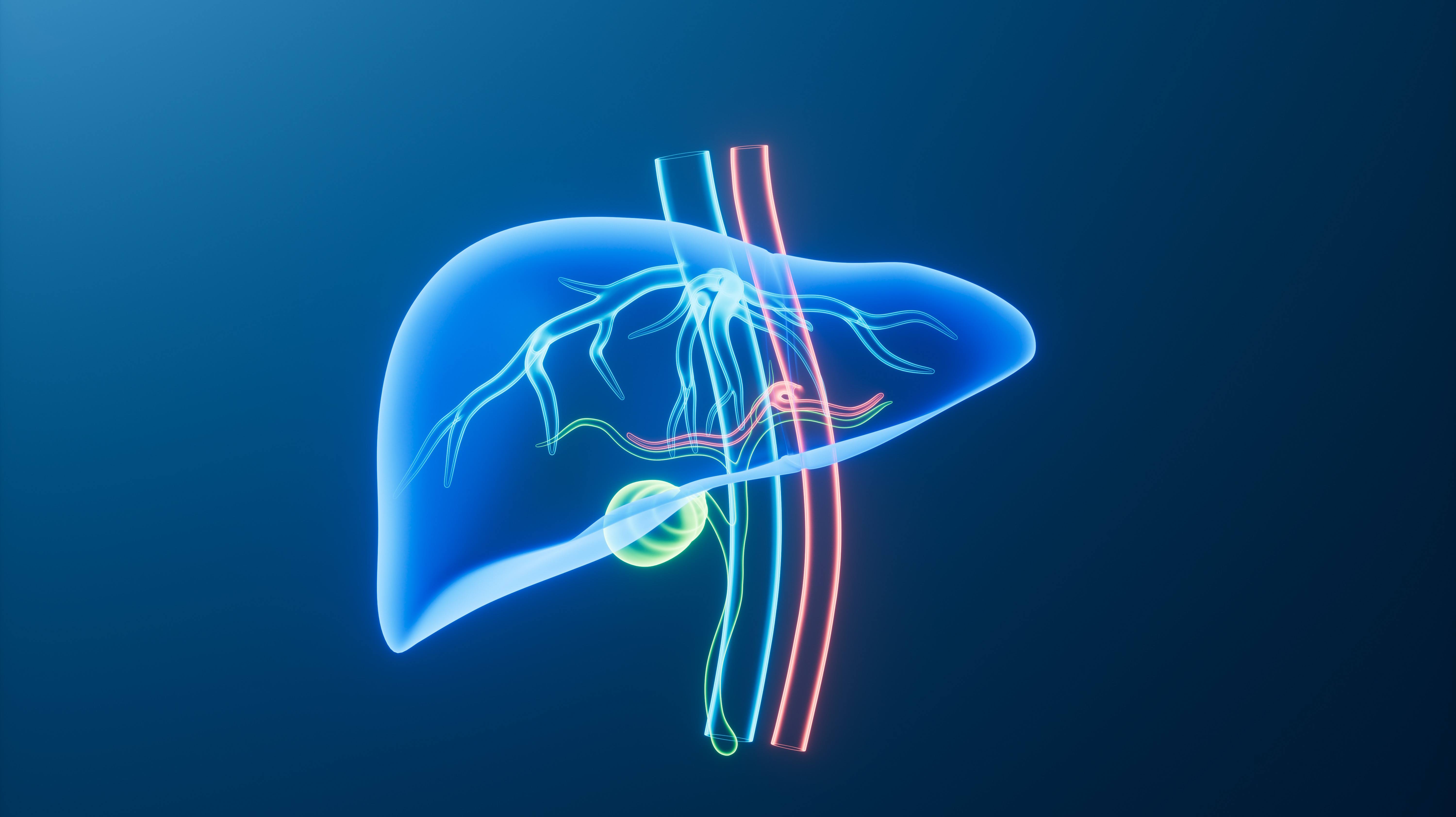 Mayo Clinic Minute: Unlocking how the liver regenerates after surgery (VIDEO) featured image
