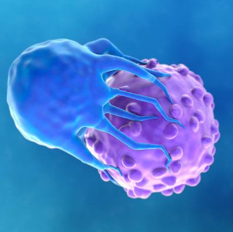 A decade of CAR-T cell therapy at Mayo Clinic: From experimental treatment to new frontiers (VIDEO) featured image