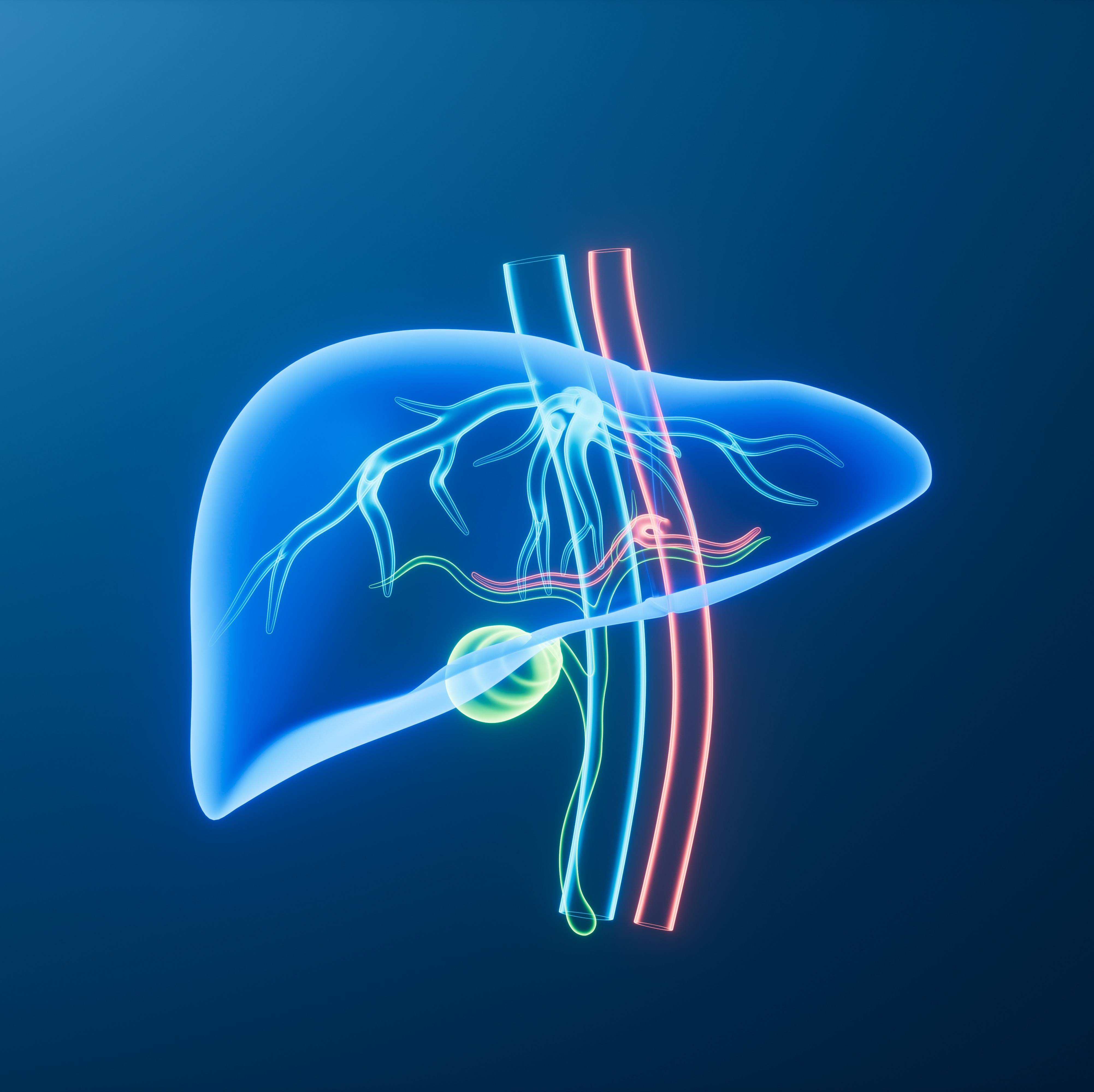 Mayo Clinic Minute: Unlocking how the liver regenerates after surgery (VIDEO) featured image