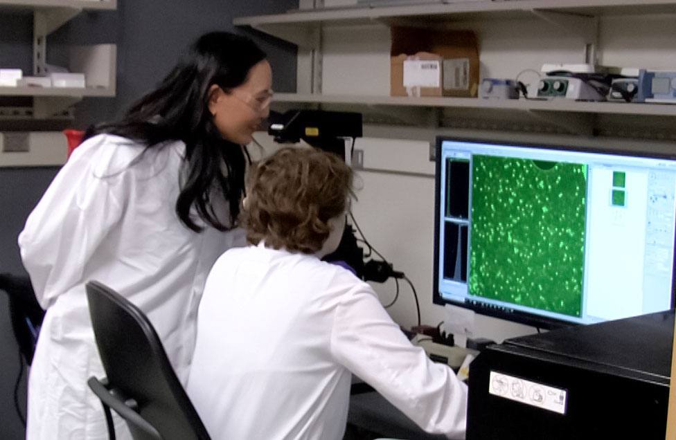 Connie Chang, Ph.D., and a research team member review biosensor results on a computer screen.