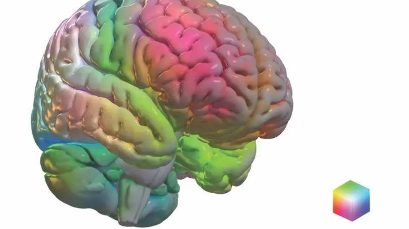 这种颜色编码的映射说明了与痴呆症症状相关的复杂脑解剖结构可如何表示为三维几何坐标系。